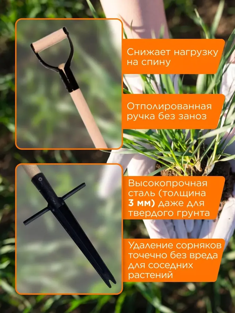 Применение корнеудалителя на участке
